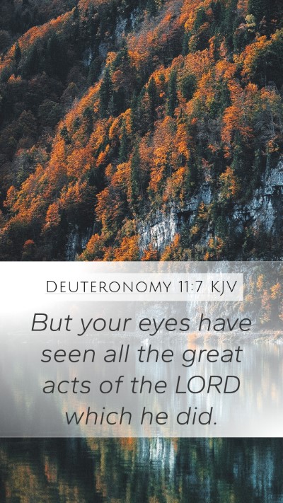 Deuteronomy 11:7 Explained