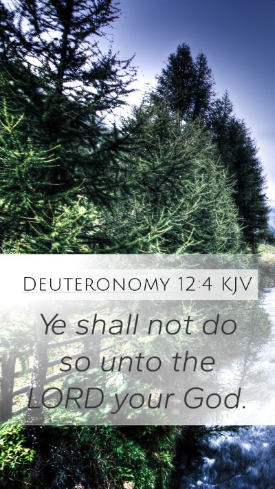 Deuteronomy 12:4 Explained