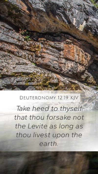 Deuteronomy 12:19 Explained