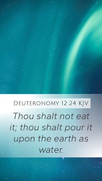 Deuteronomy 12:24 Explained