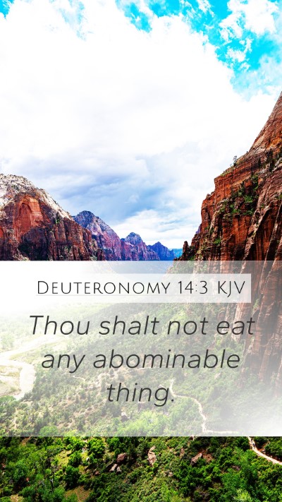 Deuteronomy 14:3 Explained