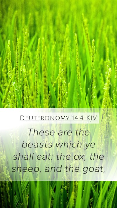 Deuteronomy 14:4 Explained