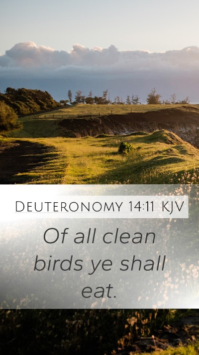 Deuteronomy 14:11 Explained