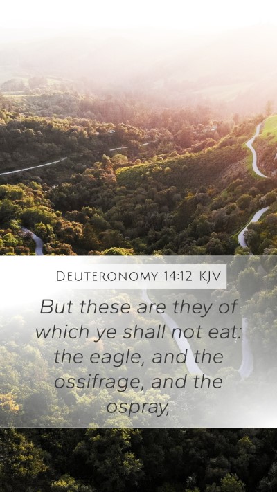 Deuteronomy 14:12 Explained