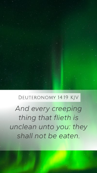 Deuteronomy 14:19 Explained