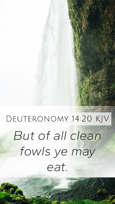 Deuteronomy 14:20 Explained