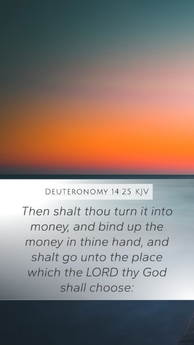 Deuteronomy 14:25 Explained