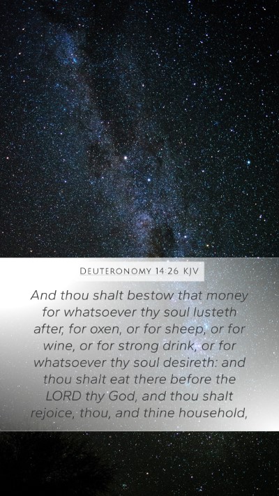 Deuteronomy 14:26 Explained