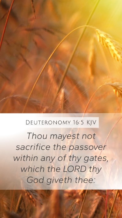 Deuteronomy 16:5 Explained