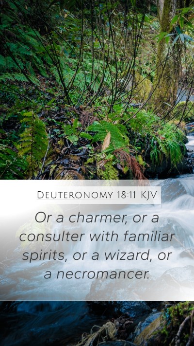 Deuteronomy 18:11 Explained