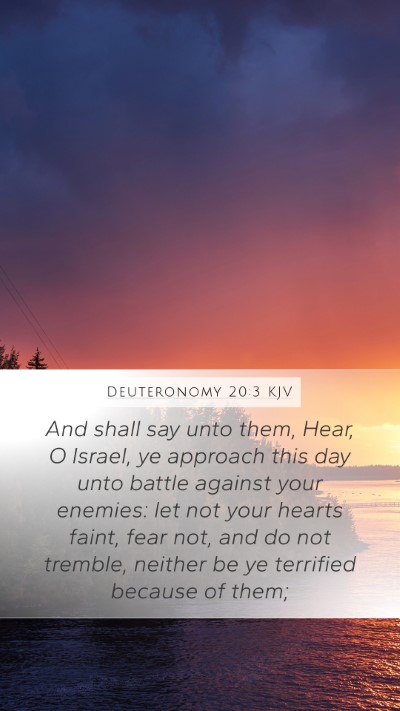 Deuteronomy 20:3 Explained