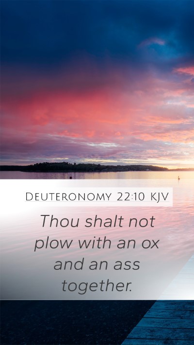 Deuteronomy 22:10 Explained