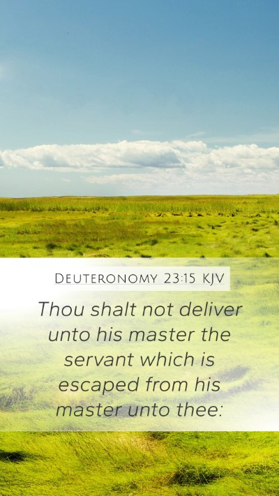 Deuteronomy 23:15 Explained