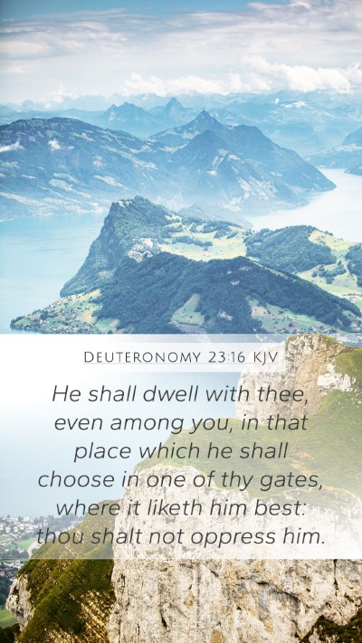 Deuteronomy 23:16 Explained