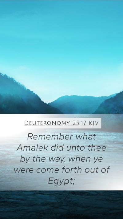 Deuteronomy 25:17 Explained