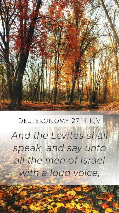 Deuteronomy 27:14 Explained