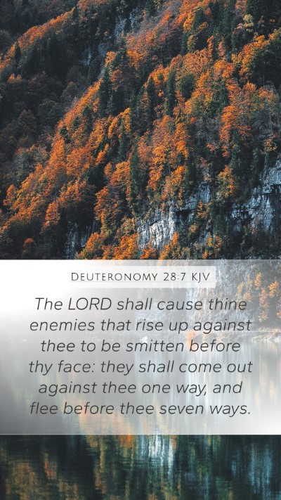 Deuteronomy 28:7 Explained