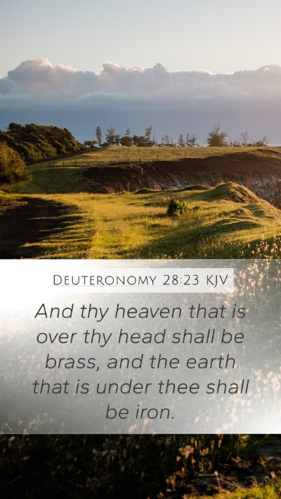 Deuteronomy 28:23 Explained