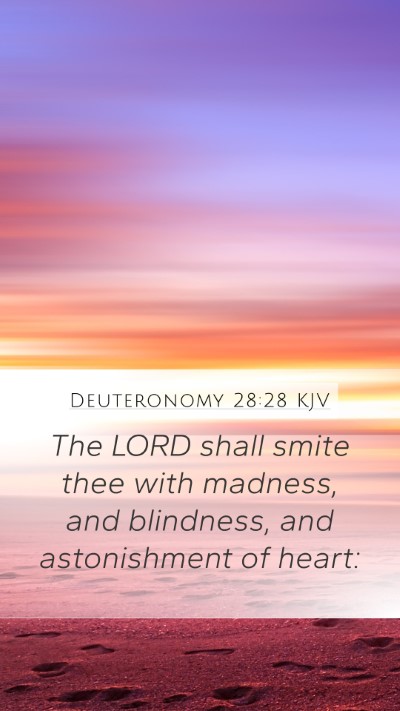 Deuteronomy 28:28 Explained