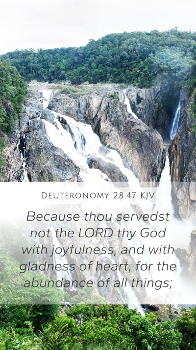 Deuteronomy 28:47 Explained