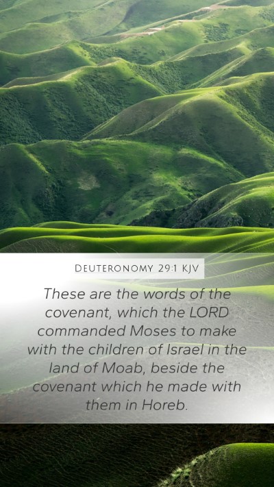 Deuteronomy 29:1 Explained