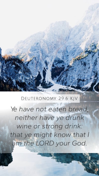 Deuteronomy 29:6 Explained