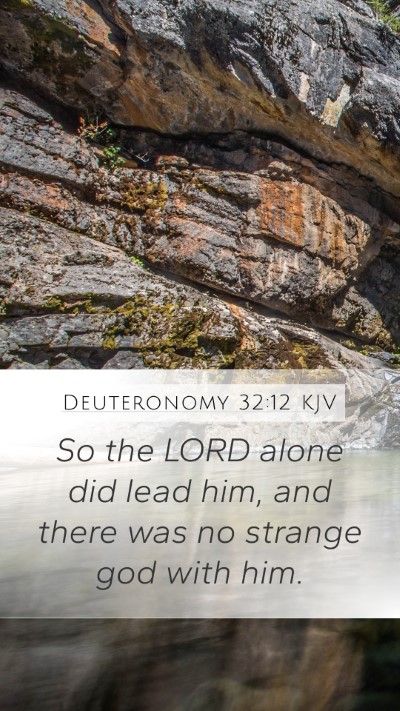 Deuteronomy 32:12 Explained