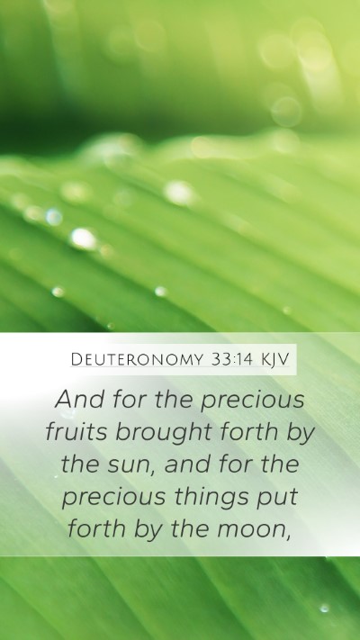 Deuteronomy 33:14 Explained