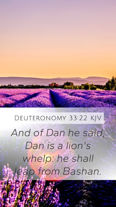 Deuteronomy 33:22 Explained