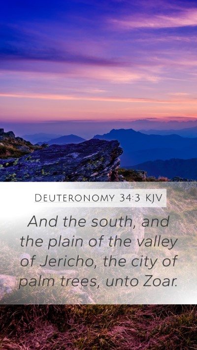 Deuteronomy 34:3 Explained