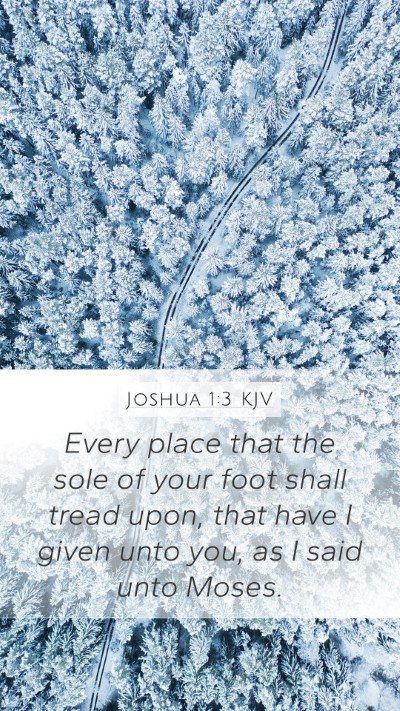 Joshua 1:3 Explained