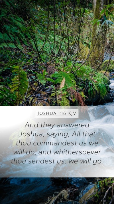 Joshua 1:16 Explained