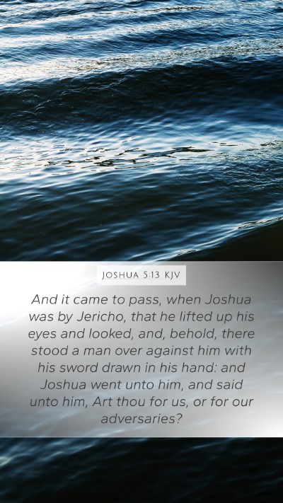 Joshua 5:13 Explained