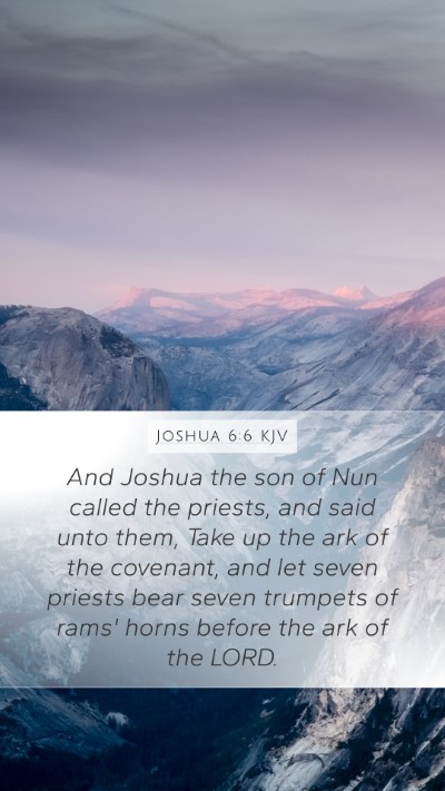 Joshua 6:6 Explained