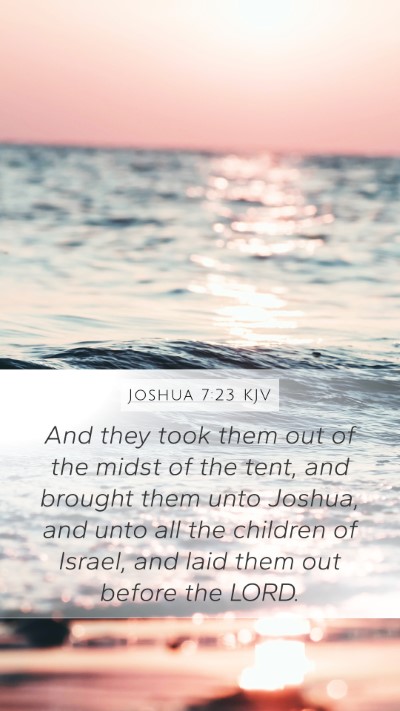 Joshua 7:23 Explained