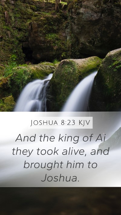 Joshua 8:23 Explained