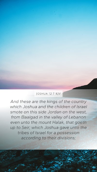 Joshua 12:7 Explained