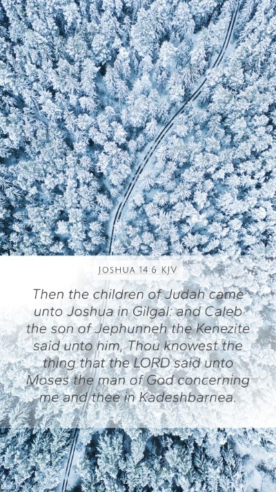 Joshua 14:6 Explained