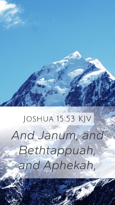 Joshua 15:53 Explained