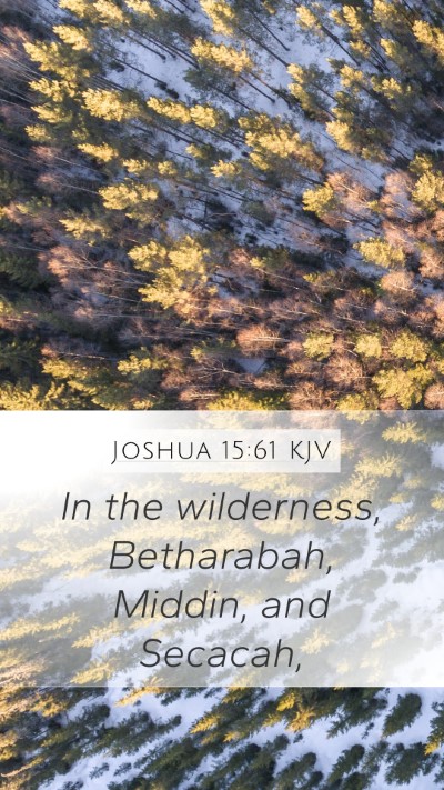 Joshua 15:61 Explained