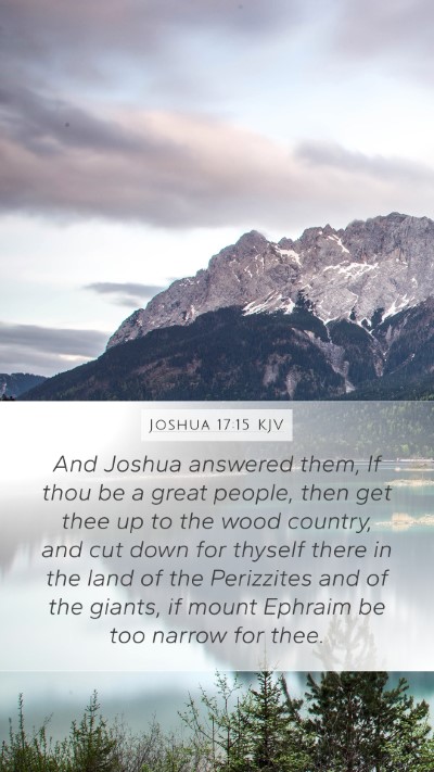 Joshua 17:15 Explained