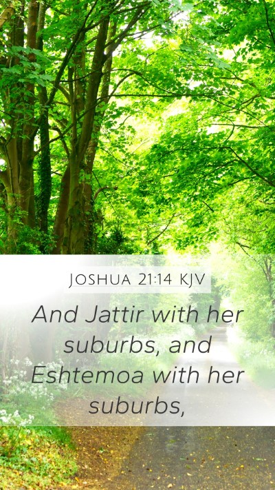 Joshua 21:14 Explained