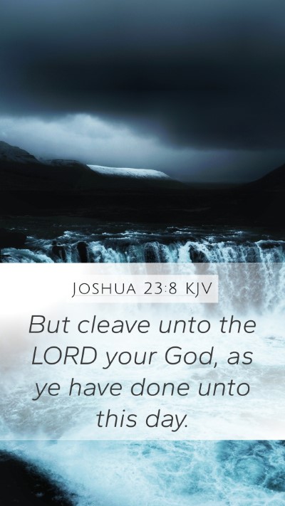 Joshua 23:8 Explained