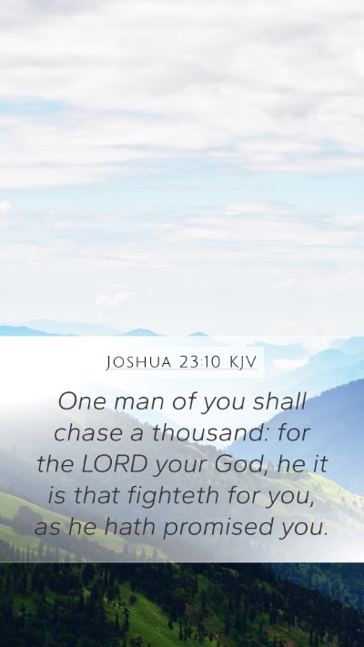 Joshua 23:10 Explained