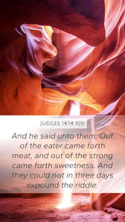 Judges 14:14 Explained