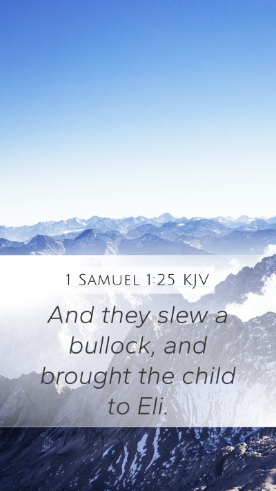 1 Samuel 1:25 Explained