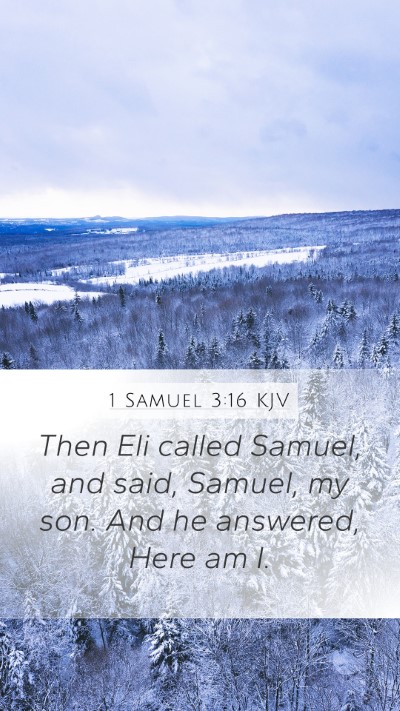 1 Samuel 3:16 Explained