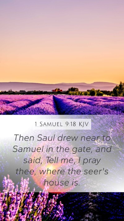 1 Samuel 9:18 Explained