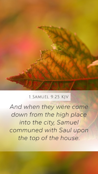 1 Samuel 9:25 Explained