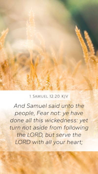 1 Samuel 12:20 Explained